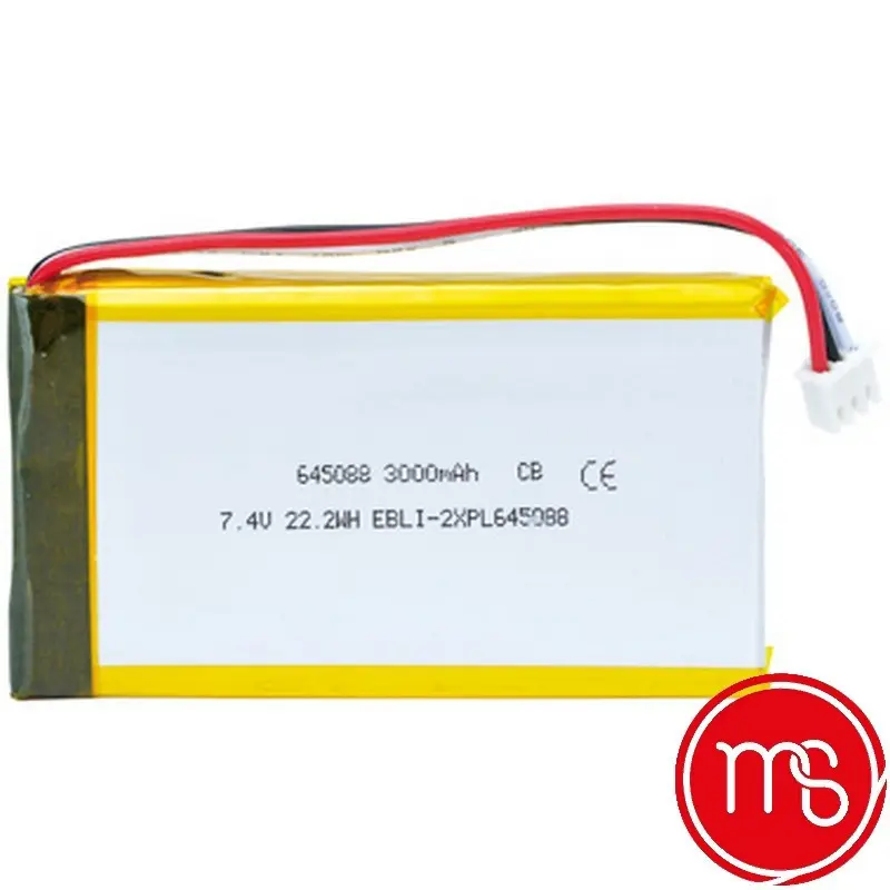 Batterie pour Form 100