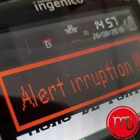 Réparation Alert Irruption