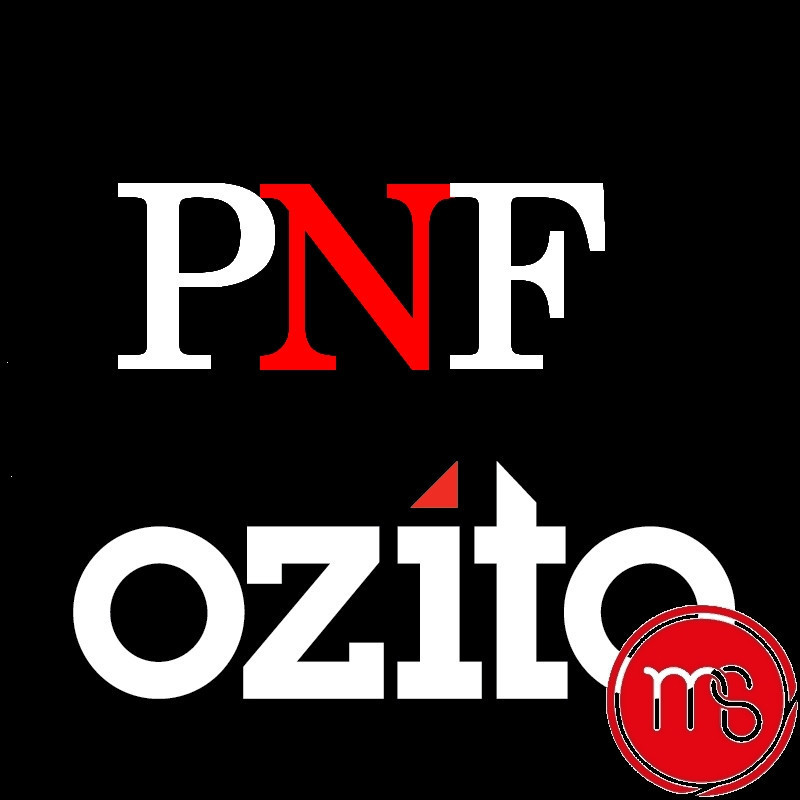 Téléchargement logiciel PNF OZITO