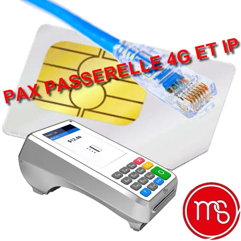 Passerelle 4G et IP Visu- 12 mois